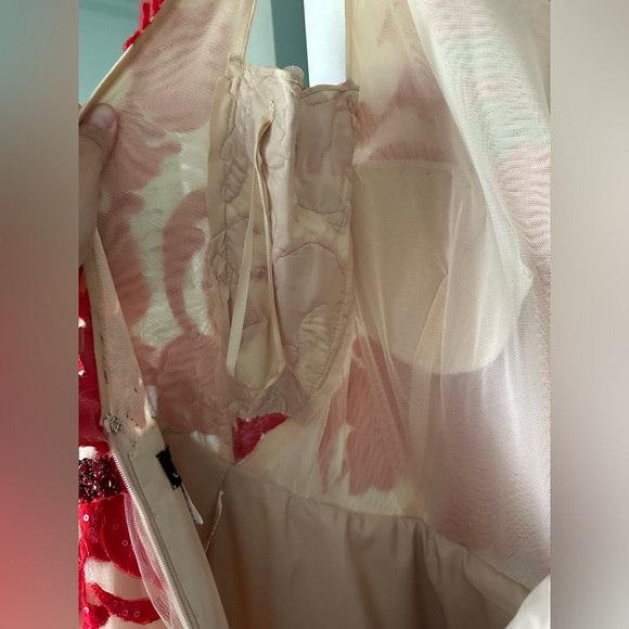 Jovani Gown - Prom or Homecoming, beautiful nude & red - Picture 13 of 13